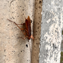 фото из отзыва ID 2737212