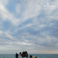 фото из отзыва ID 2737219