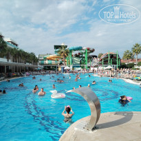 фото из отзыва ID 2737219