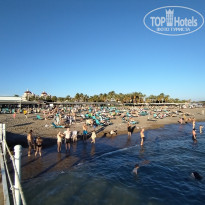 фото из отзыва ID 2737219