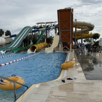 фото из отзыва ID 2737223