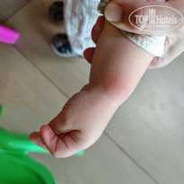 фото из отзыва ID 2737226