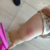 фото из отзыва ID 2737226