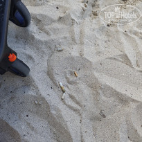 фото из отзыва ID 2737226