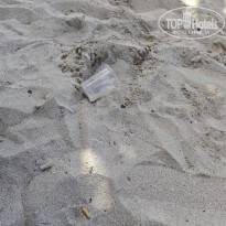 фото из отзыва ID 2737226