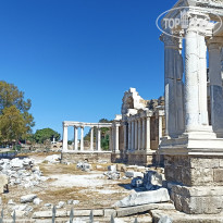 фото из отзыва ID 2737242