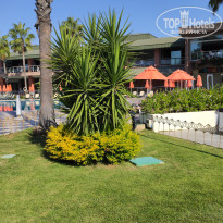 фото из отзыва ID 2737243