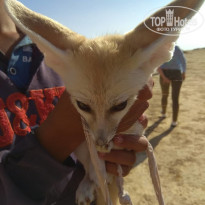 фото из отзыва ID 2737295