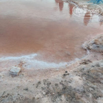 фото из отзыва ID 2737295