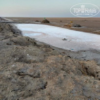 фото из отзыва ID 2737295