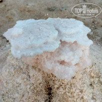 фото из отзыва ID 2737295