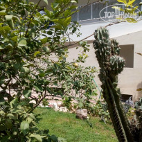 фото из отзыва ID 2737303