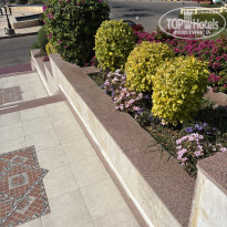 фото из отзыва ID 2737309