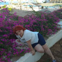 фото из отзыва ID 2737307