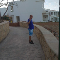 фото из отзыва ID 2737307