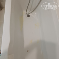 фото из отзыва ID 2737333