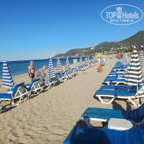 фото из отзыва ID 2737333