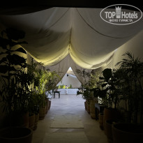 фото из отзыва ID 2737342