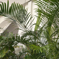 фото из отзыва ID 2737342