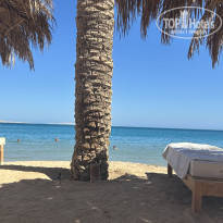 фото из отзыва ID 2737342