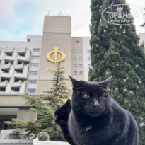 фото из отзыва ID 2736510