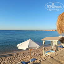 фото из отзыва ID 2737347