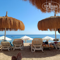 фото из отзыва ID 2737347