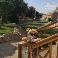 фото из отзыва ID 2737368