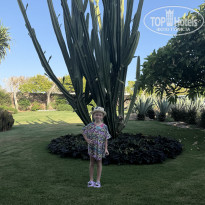 фото из отзыва ID 2737368