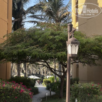 фото из отзыва ID 2737387