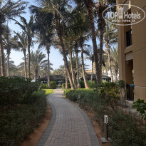 фото из отзыва ID 2737387