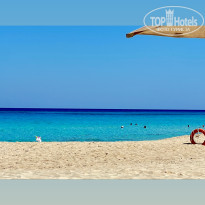 фото из отзыва ID 2737403