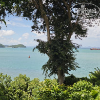 фото из отзыва ID 2736945