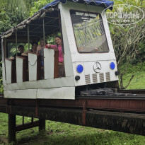 фото из отзыва ID 2736945