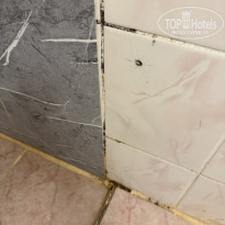 фото из отзыва ID 2737408