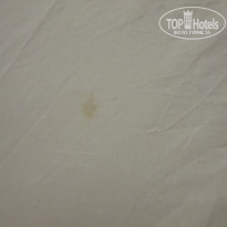 фото из отзыва ID 2737408