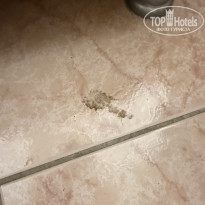 фото из отзыва ID 2737408