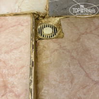 фото из отзыва ID 2737408