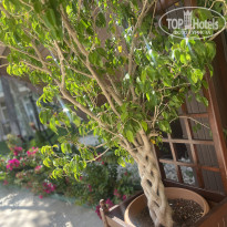 фото из отзыва ID 2737409