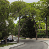 фото из отзыва ID 2732925