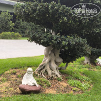 фото из отзыва ID 2732925