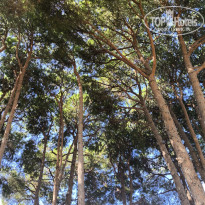 фото из отзыва ID 2732925