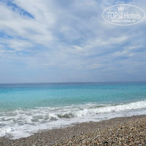 фото из отзыва ID 2737418