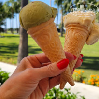 фото из отзыва ID 2737418