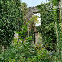 фото из отзыва ID 2737426