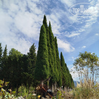 фото из отзыва ID 2737426