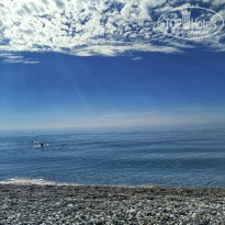 фото из отзыва ID 2737426