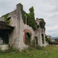 фото из отзыва ID 2737426