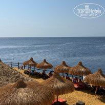 фото из отзыва ID 2737435