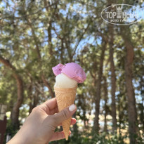 фото из отзыва ID 2737440